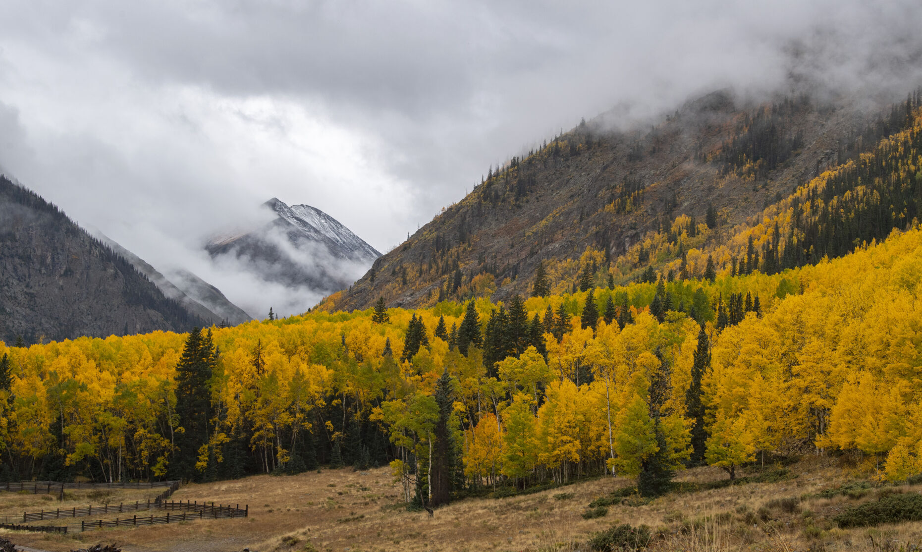 09_28_21 aspens 00274.jpg